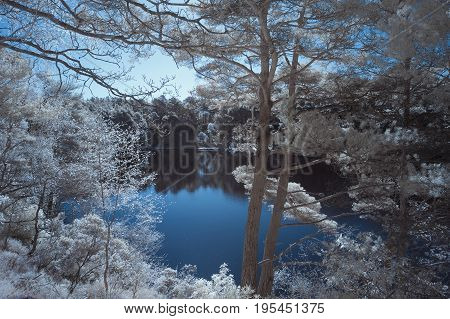 Beautiful False Color Surreal Infrared Landscape Image Of Lake And Surrounding Forest