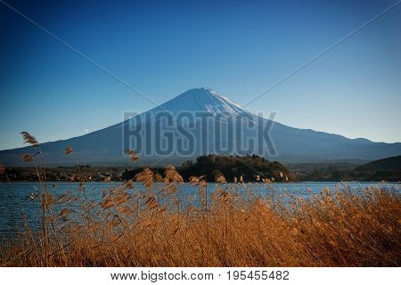 abstract dry grass on mountain fuji and lake background - can use to display or montage on product