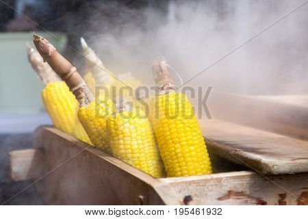 Steam sweet corn on traditional wooden pot ,Japan .