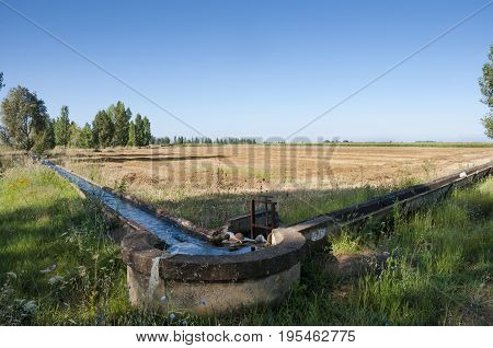Stubble fields and poplar groves in an irrigated agricultural landscape in the plain of the River Esla, in Leon Province, Spain