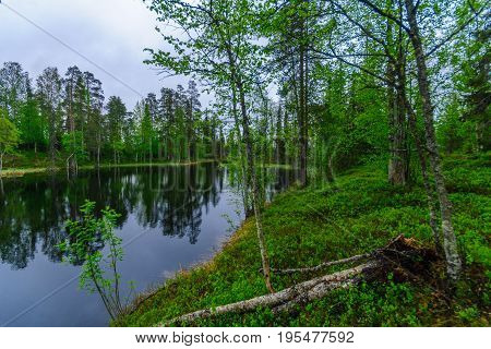 Kantalampi Lake Near Luosto, In Pyha-luosto National Park