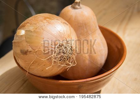 Set of different vegetables. onion, pumpkin and cucurbit