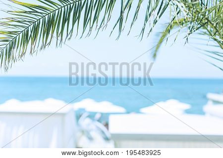 Fragment A green palm branch against the background of the sea and sky. In the background, beach umbrellas are unfocused. Selected focus. Background in style Vacation and travel Horizontal
