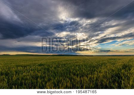 Lumen In The Clouds Over The Rye Field.