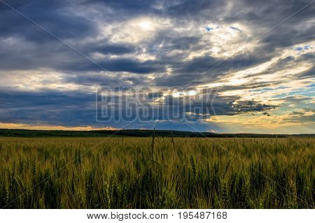 Lumen In The Clouds Over The Rye Field.