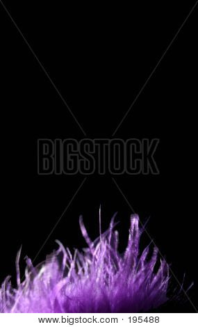 Purplefluff