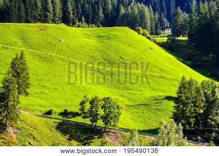 Mountain summer landscape with green grass meadow, Austria