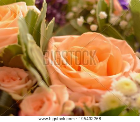 Bouquet of flowers roses gerbera flowers bouquet of flowers.