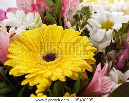 Bouquet of flowers roses gerbera flowers bouquet of flowers.