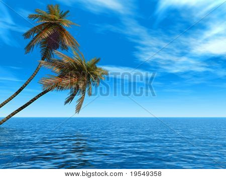Kókusz pálmafák a a beach 3d illusztráció.