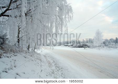 Blanco invierno