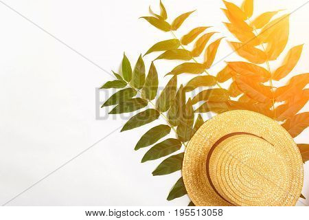 Green leaf branches and straw haton white background. flat lay, top view. Copy space. Still life. Sun Flare