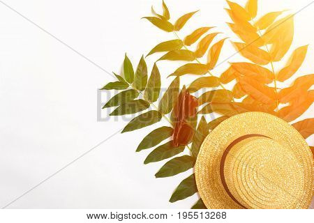 Green leaf branches and straw haton white background. flat lay, top view. Copy space. Still life. Sun Flare