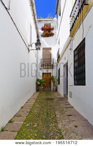 Flowers In Flowerpot On The White Walls On Famous Flower Street Calleja De Las Flores In Old Jewish