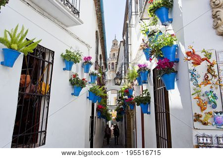 Flowers In Flowerpot On The White Walls On Famous Flower Street Calleja De Las Flores In Old Jewish