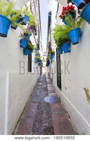 Flowers In Flowerpot On The White Walls On Famous Flower Street Calleja De Las Flores In Old Jewish