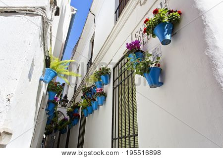 Flowers In Flowerpot On The White Walls On Famous Flower Street Calleja De Las Flores In Old Jewish
