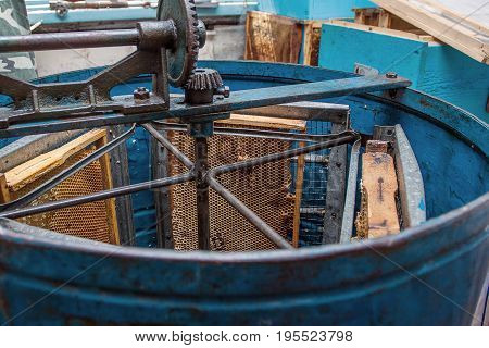 Blue Handy Extractor with honey comb. Use of a centrifugal extractor leaves the cells of the comb intact because you need only remove the pure wax cap that indicates finished honey
