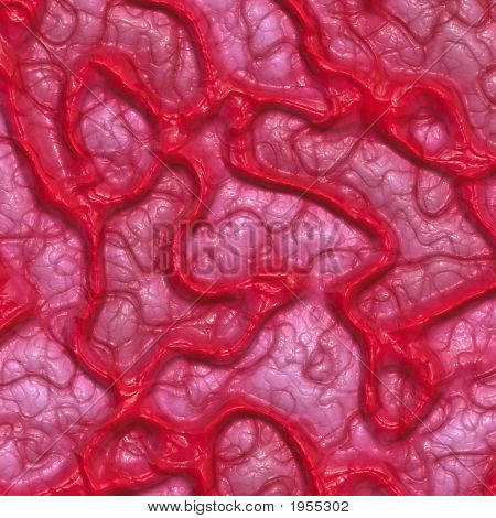 Veiny อินทรีย์