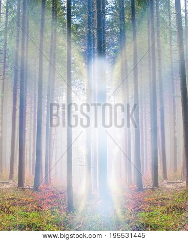 Mysterious abstract angel into the forest among the trees in autumn season