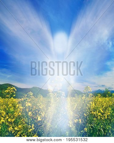 Abstract angel over the rape field in summer season