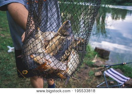Fisherman's catch fish in nets on the pond