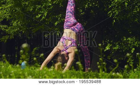 Young woman doing yoga exercises in the park. Artha mukha svanasana
