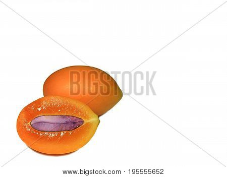 Fresh ripe orange color Marian Plums whole fruit and cut in half with purple seed, white background with free space for text and design