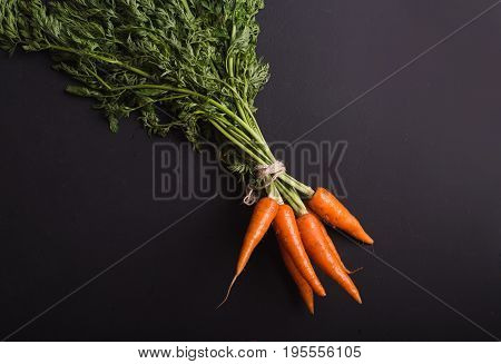 A bunch of carrots. Carrots with stems. Carrots on a black background