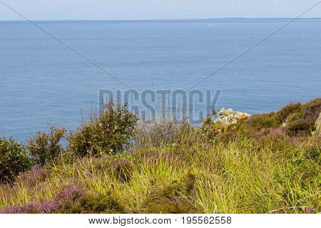 Wild Rocky Coast On Western Sweden