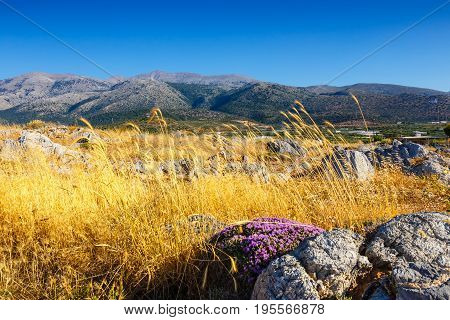 Majestic View Of Cretan Landscape At Sunset, Malia, Crete