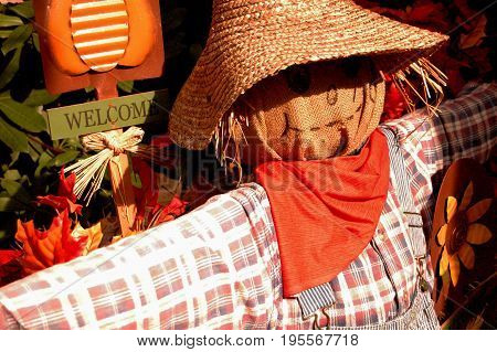 Scarecrow wearing faded shirt orange bandana and straw hat to shade eyes