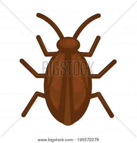 Cockroach in brown color isolated on white vector illustration in graphic design. Dangerous bug making harm for people and their things. Closeup portrait of natural creature with many long legs