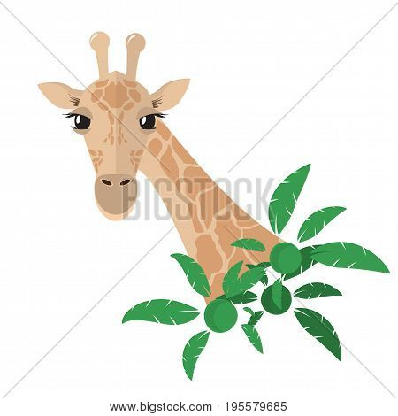 Head and neck of a giraffe in a flat style postcard With green tropical plants