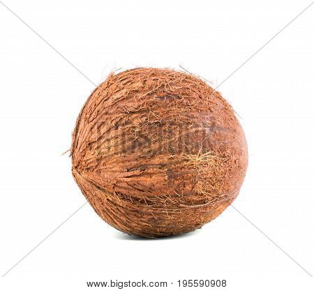 Brown scratchy coconut with clipping path isolated on a white background. Tasteful coco for summer diets. Healthful nuts full of vitamins. Healthy lifestyle.