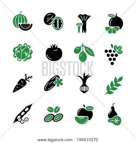 Digital green black vegetable icons set infographics drawn simple line art pattern, onion squash pear orange apple grape carrot wallnut peas watermelon cabage, flat, organic vegetarian food