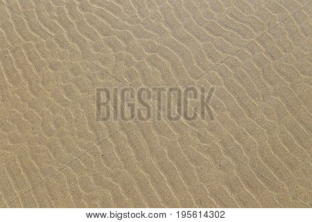 Ripple marks on a sandy beach in Brittany France