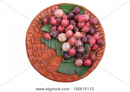 A light brown basket with ripe multi-colored gooseberries, isolated on a white background. Fresh bright gooseberries in the wooden crate. Nutritious fruit ingredient. Juicy and sour berries.