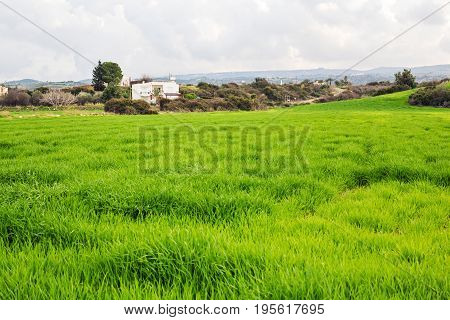Outdoor countryside meadow grass nature. Rural field landscape