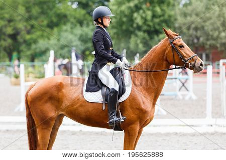 Young rider girl on sorrel horse at dressage equestrian competition