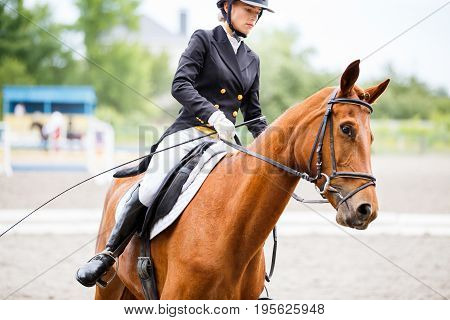 Young rider girl on sorrel horse at dressage equestrian competition