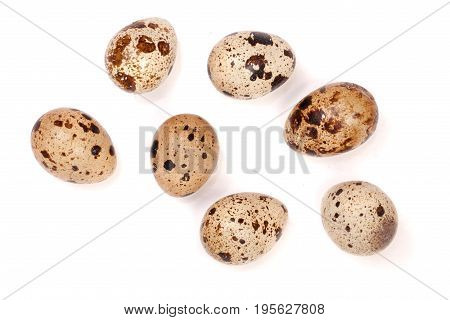 Several quail eggs isolated on white background. Top view.