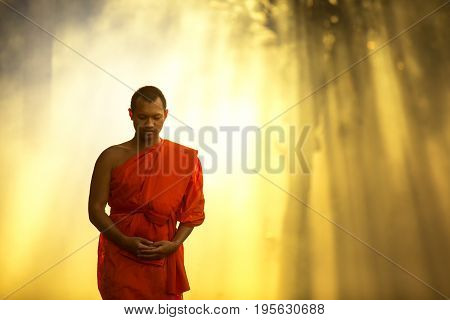 Monk walking in temple meditating under a tree at Bangkokbuddhist temple in Thailand