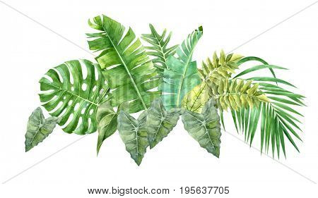 Hand drawn watercolor border with tropical leaves