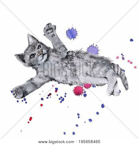 Gray kitten lying playing. Isolated on white background.