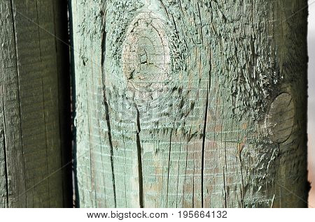 Detail of impregnated wooden poles on a sunny day