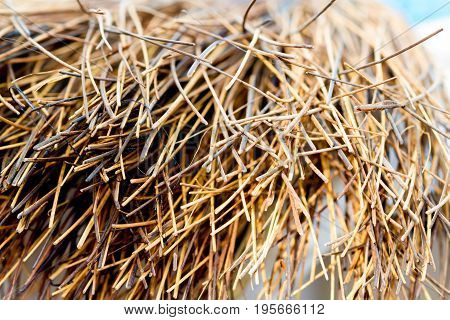 scanting texture  close up abstract background .
