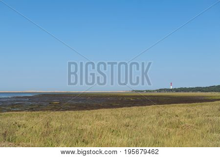 Lighthouse La Coubre at the French Atlantic coast in La Palmyre 