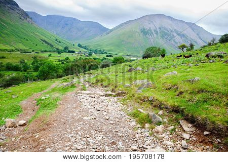 Walking path to Scafell pike, the highest mountain in England, Lake District National Park, England, selective focus