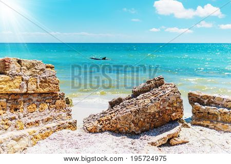 Seascape: a sandy sea shore dolphin swims in the sea in the distant flies flying the sun shines